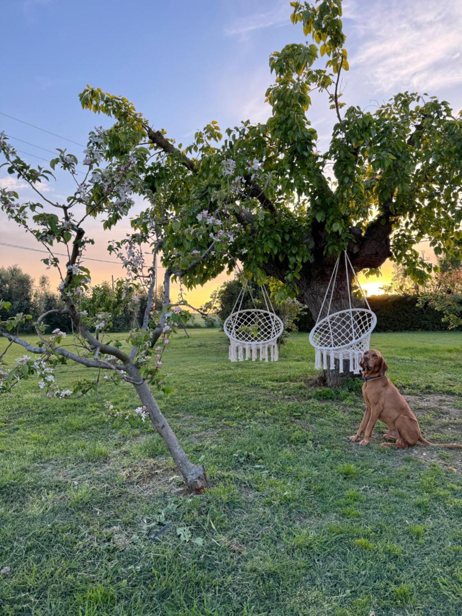Agriturismo Le Grange Numana Exteriör bild